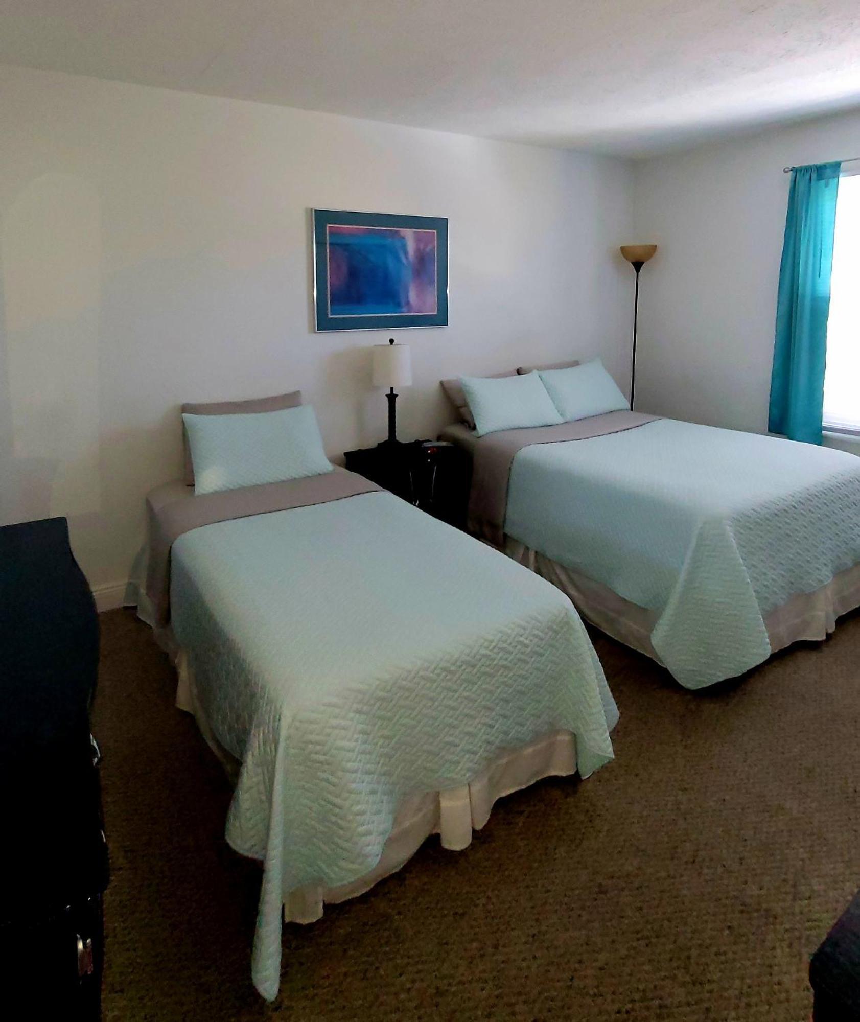 Beautiful Condo Close To Busch Gardens Tampa Dış mekan fotoğraf