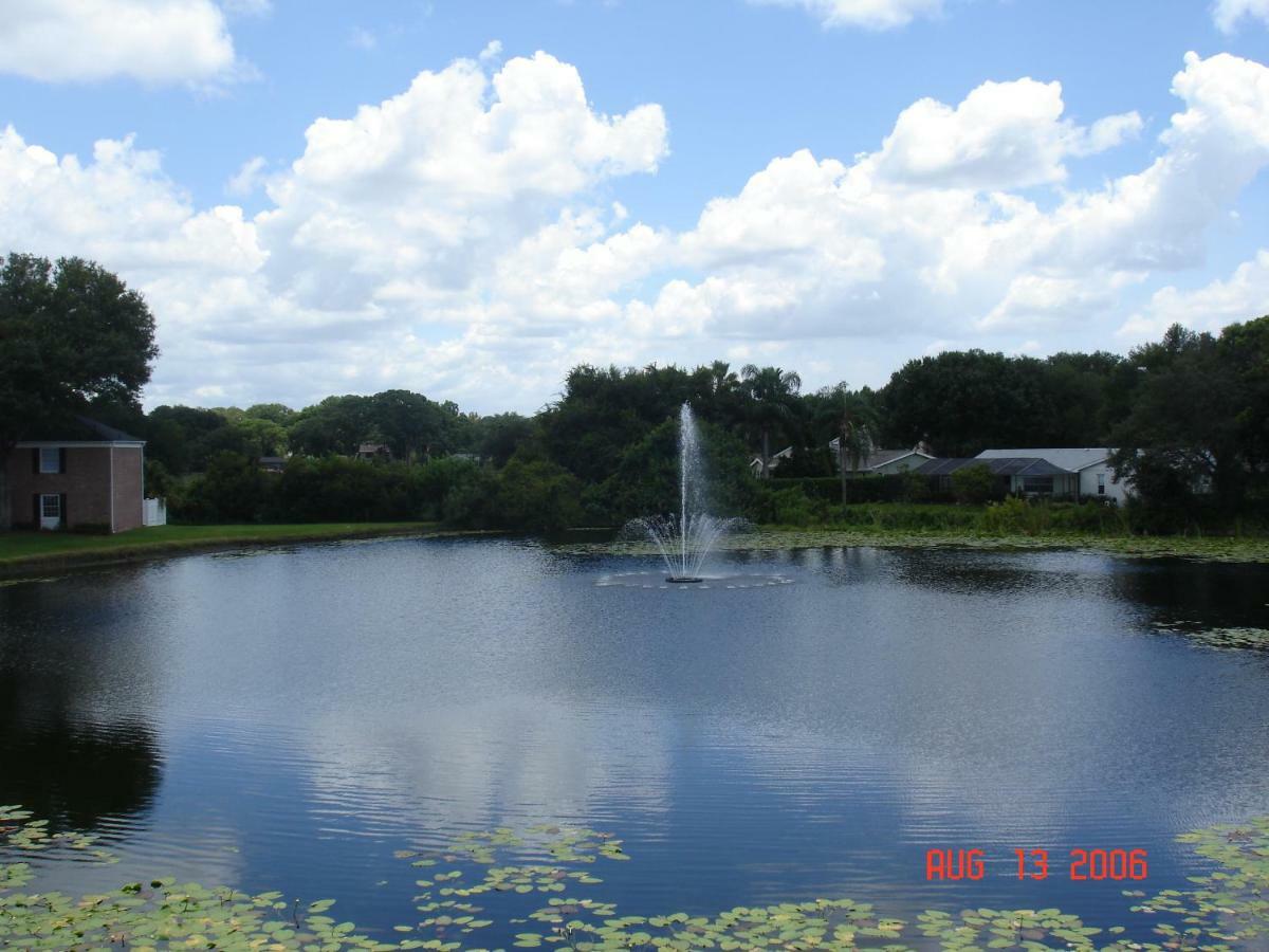 Beautiful Condo Close To Busch Gardens Tampa Dış mekan fotoğraf